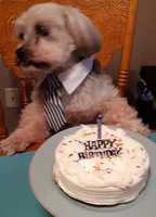 Rocky Birthday