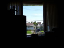 Living Rm Window